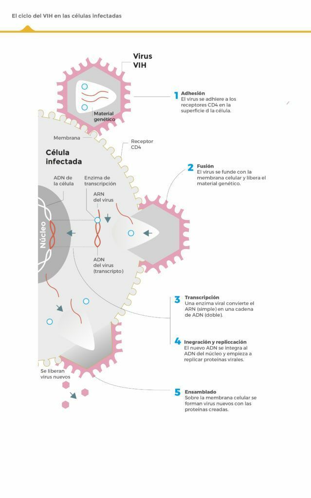 EN REVISIôN VIH