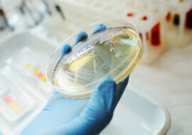 El impacto de la biotecnologia en la produccion de medicamentos HEADER
