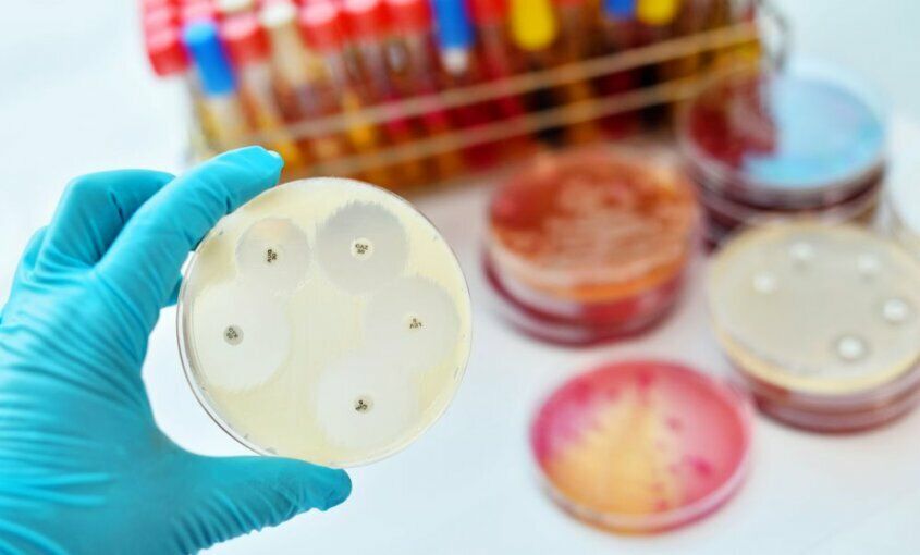 Resistencia antimicrobiana: ¿Qué pueden hacer los pacientes?