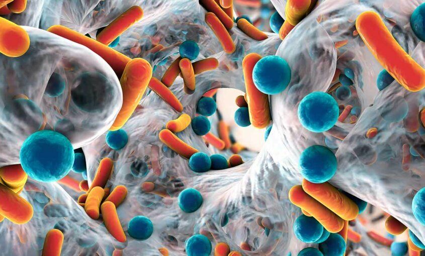 Resistencia antimicrobiana: por qué los nuevos antibióticos no son suficientes