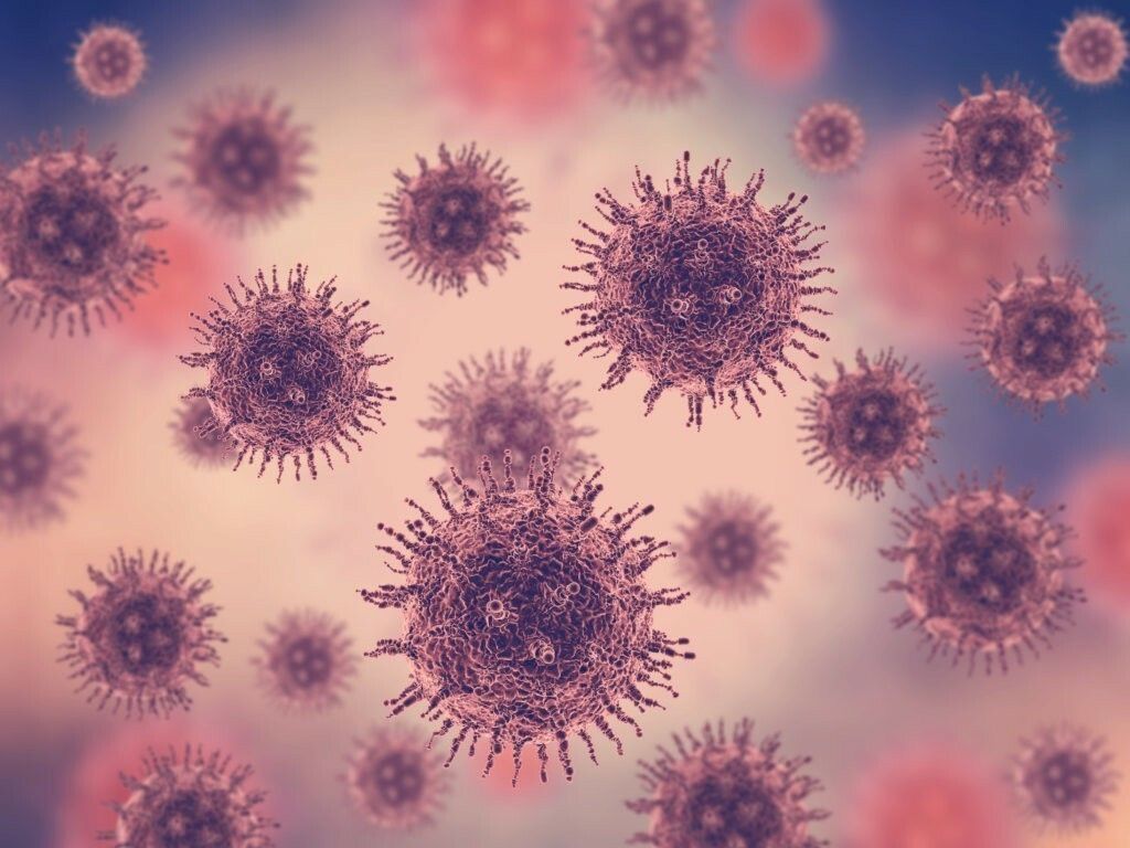 Virus y bacterias qué son y en qué se diferencian HEADER