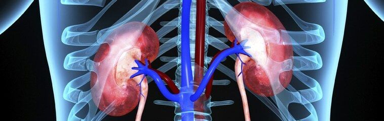 Insuficiencia renal ¿Qué es y como prevenirla?