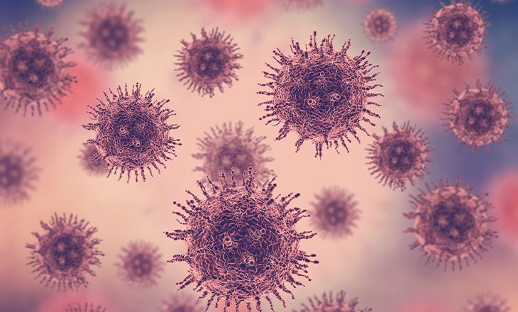 Virus: cómo funcionan los patógenos 100 veces  más pequeños que una célula