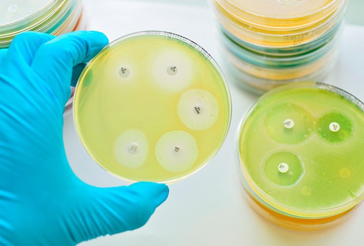 Resistencia bacteriana: ¿Cómo es la nueva línea de investigación para enfrentarla?